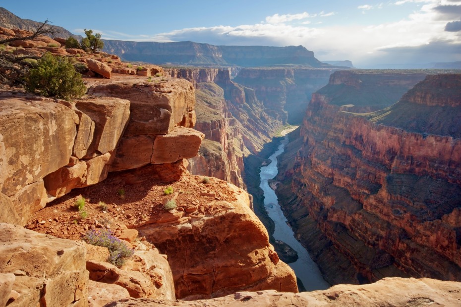 The Colorado River cuts through the Grand Canyon.