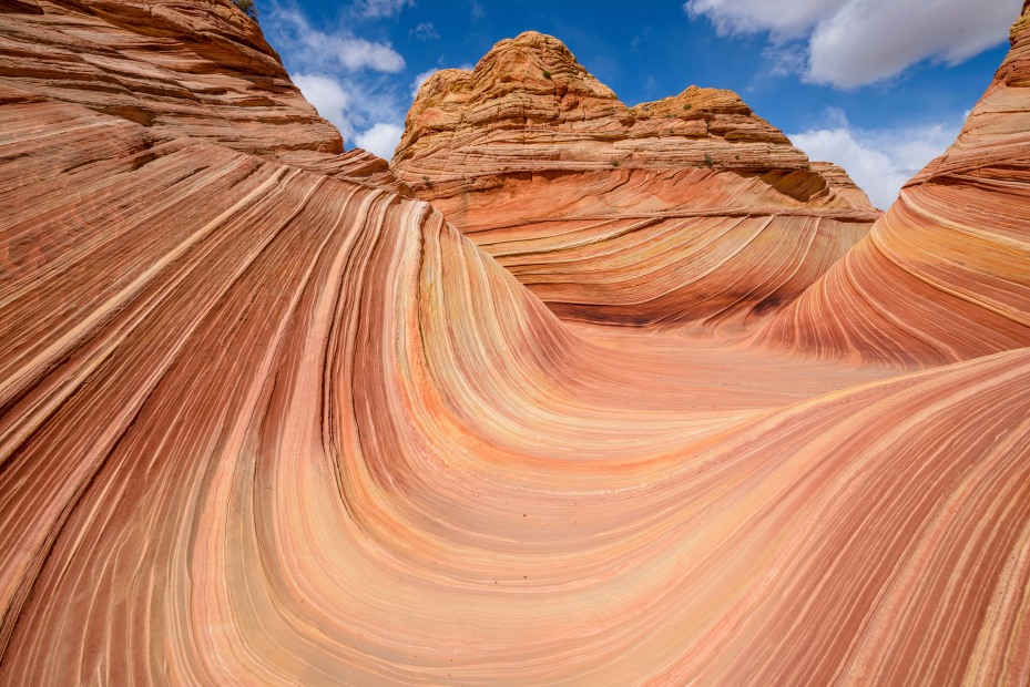 Colorful waves of sandstone rock formations in North Coyote Buttes area of Paria Canyon-Vermilion Cliffs Wilderness at the Arizona-Utah border.