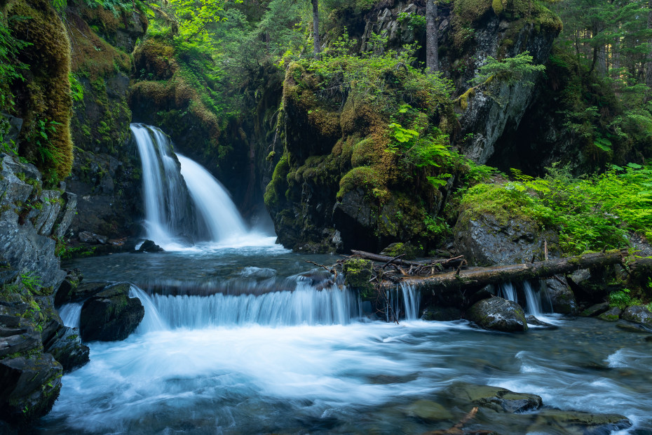 Virgin Creek Falls flows through a rainforest in Alaska.