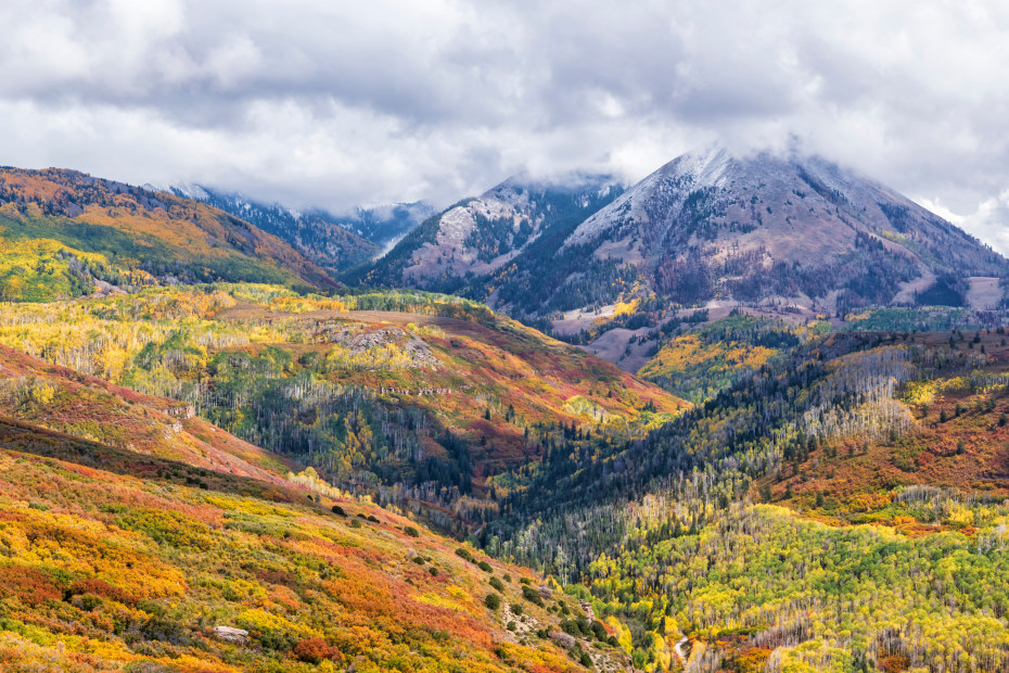 Fall colors on Haystack Mountain in Manti-La Sal National Forest.