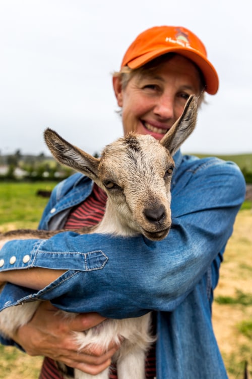 Woman holding a small goat at Harley Farms Goat Dairy, photo