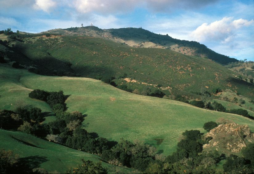 rolling green hills at Mount Diablo State Park, picture