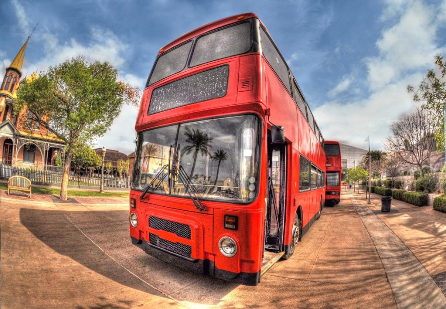 Real London Bus Company, picture