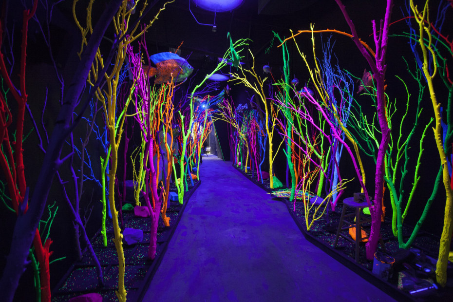 Meow Wolf Santa Fe, New Mexico neon art installation, image