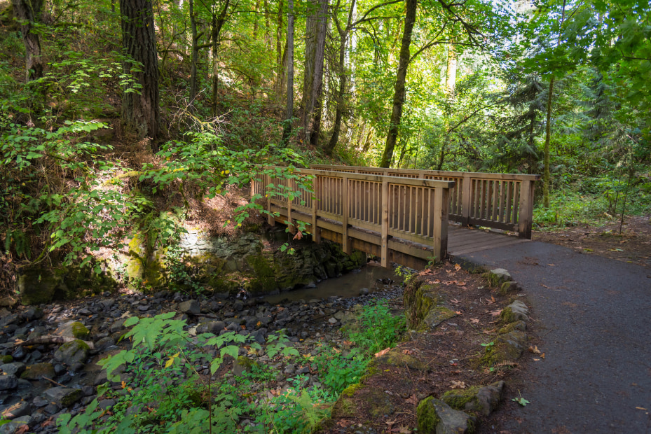picture of a paved trail crossing a bridge in Portland's Forest Park