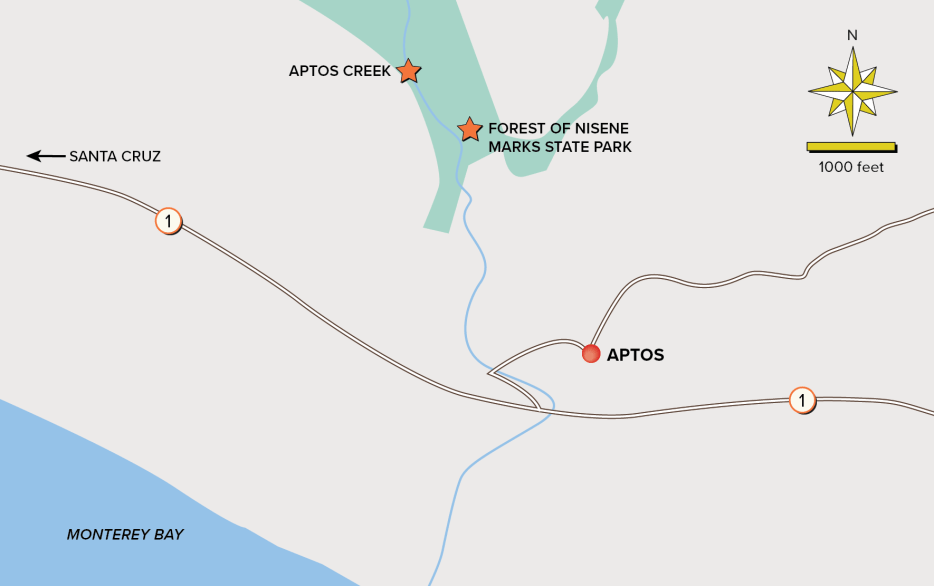 Map of Nisene Marks State Park hike.