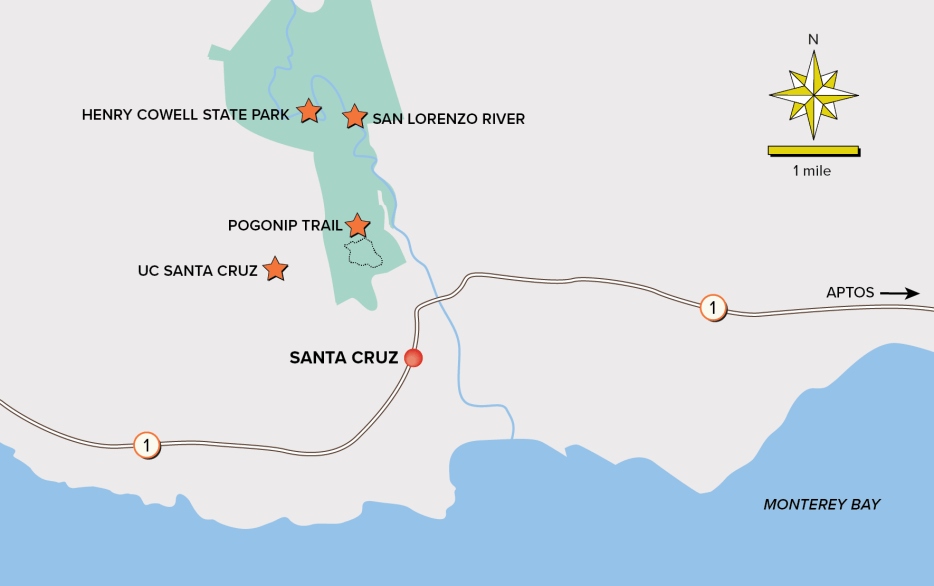 Map of walking route from UCSC to Henry Cowell State Park.