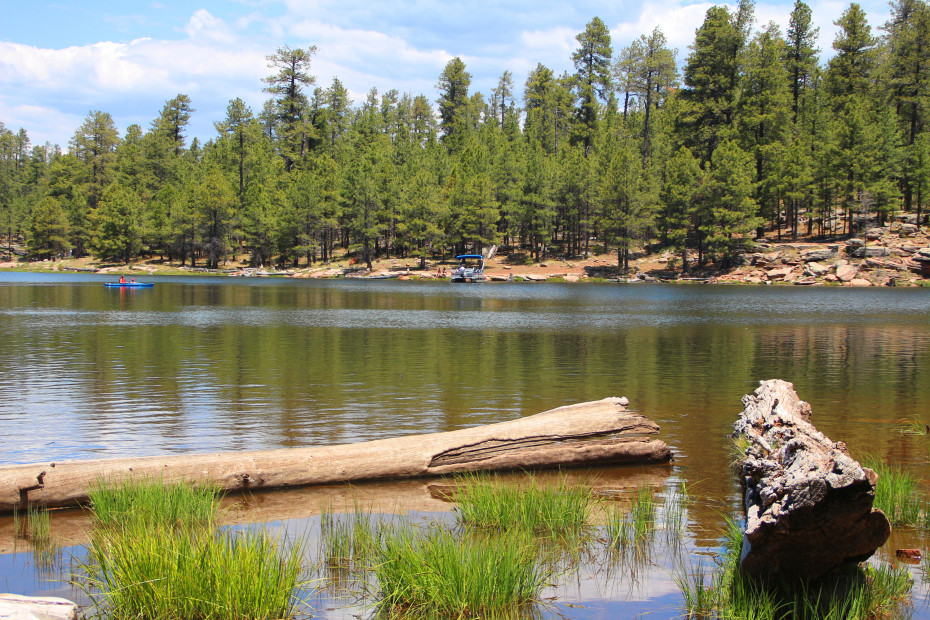 Trees surround Woods Canyon Lake in Arizona.