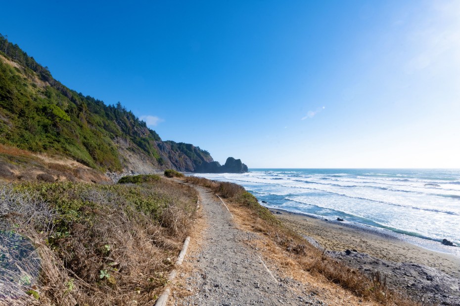 walking path leading to Enderts Beach on the California coast on a bright, sunny, summer day in Redwood National Park.