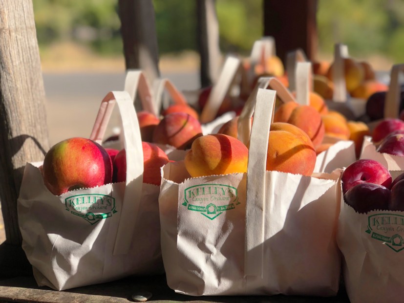 Brown bags full of fruit from Kelley's Canyon Orchard in Idaho.