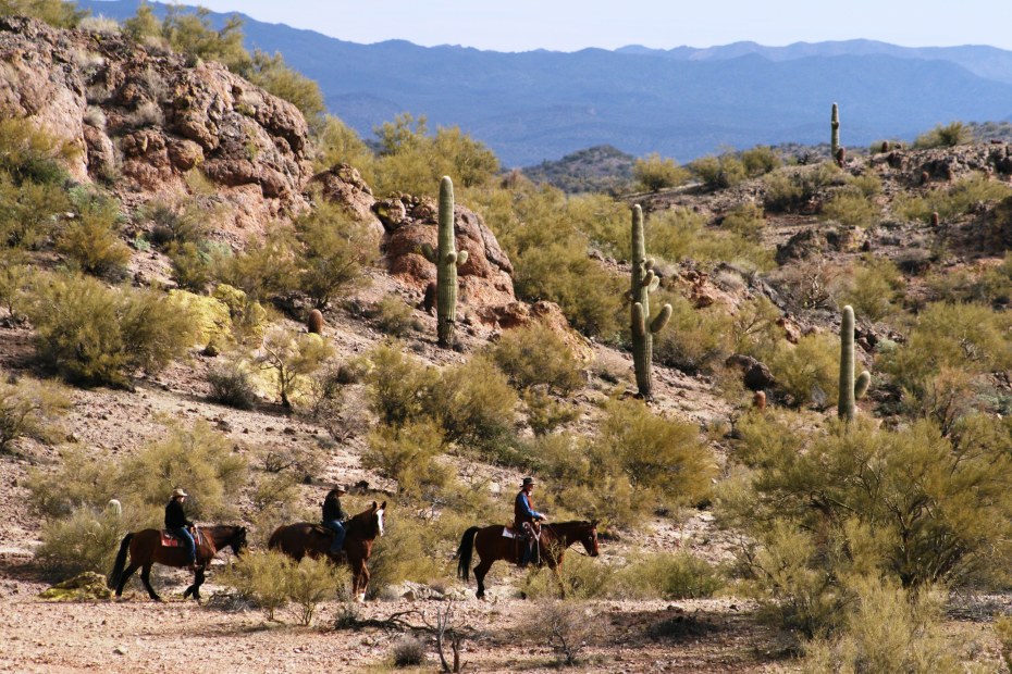 A gorup of three horseback riders on a trail with Flying E Ranch.
