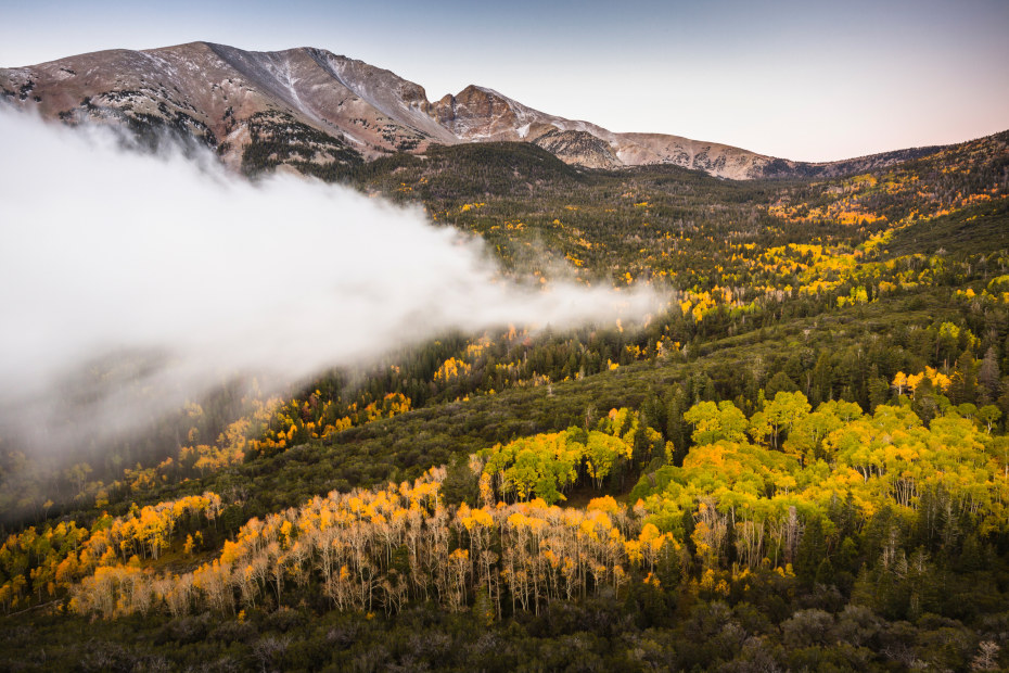 Fog approaches the Lehman Valley in Great Basin National Park at dawn in the fall with Wheeler Peak in the background.