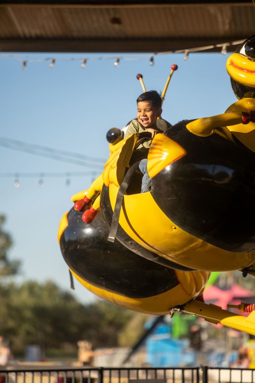 A child rides on a bumblebee ride at Schnepf Farms in in Queen Creek, Arizona.
