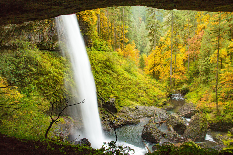 Middle Falls in Silver Falls State Park with yellow, orange, and green foliage in the background.