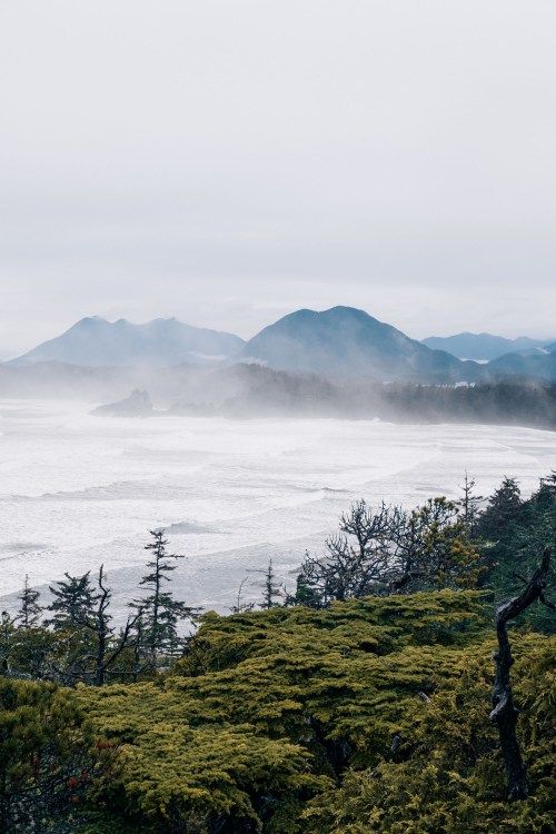 The waves crash into the lush coast of Tofino on Vancouver Island, British Columbia.