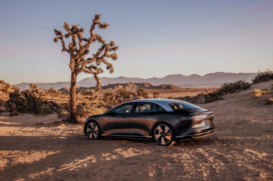 Lucid Air parked in the desert by a Joshua tree.