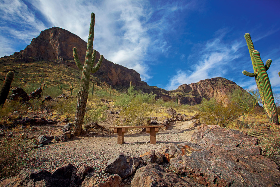A bench at a lookout along Hunter Trail in Picacho Peak State Park.