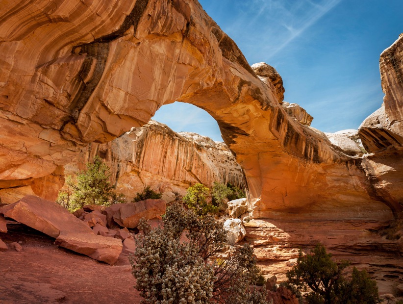 Hickman Bridge in Utah's Capitol Reef National Park, a vibrant red natural rock arch in a scenic canyon surrounded by the great white domes of Navajo sandstone.