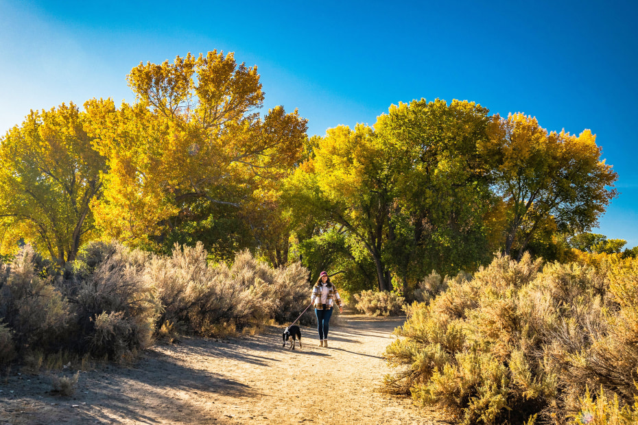 A woman walks with her dog in Carson River Park near highway 50 at Carson River Park on the east side of Carson City, Nevada.