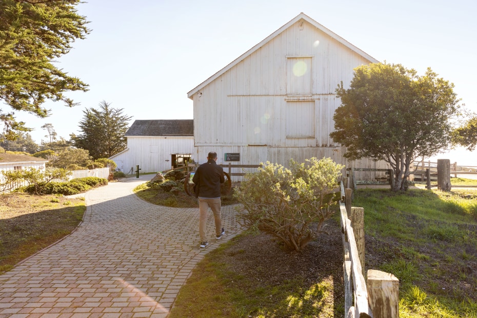 A visitor walks to Ano Nuevo State Park's Marine Education Center.