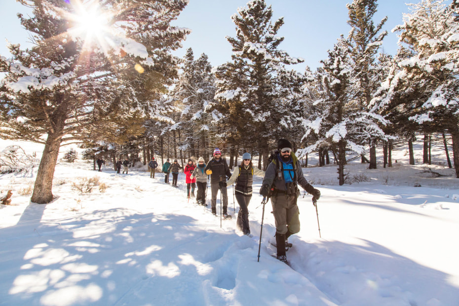 A ranger leads a snowshoe hike on the Hellroaring Trail in Yellowstone National Park.