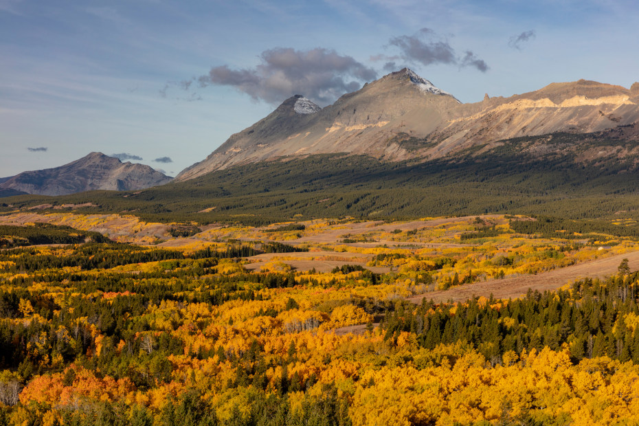 Peak fall color at Marias Pass in Glacier National Park, Montana.