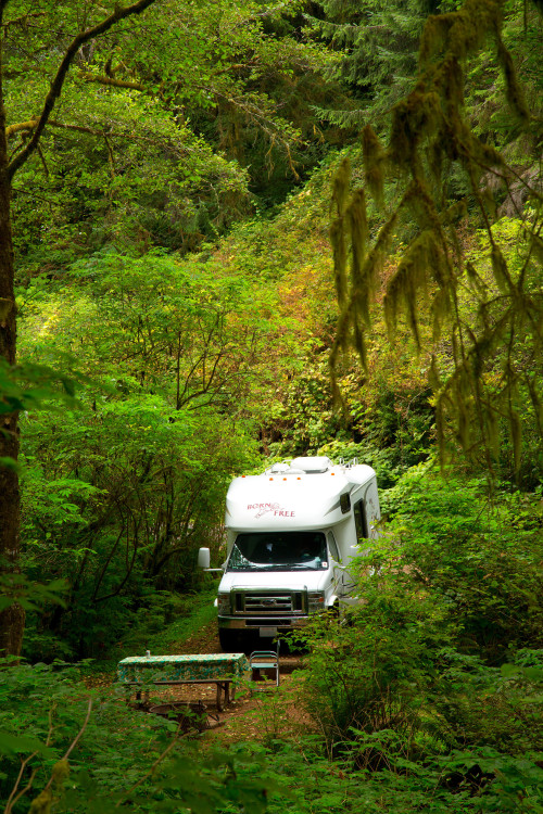 An RV at Siuslaw National Forest's Cape Perpetua Campground.