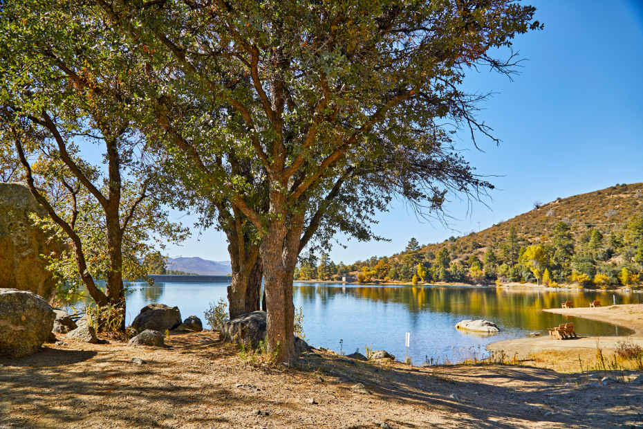 Trees grow on the shore of Goldwater Lake in Prescott, Arizona.