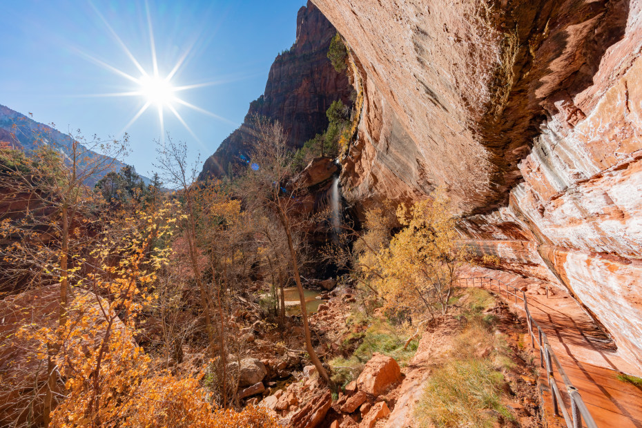 fall colors along the Emerald Pools Trial at Zion National Park