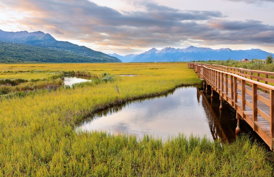 A scenic view of wetlands and mountains from the Potter Marsh Wildlife Refuge Boardwalk in southern Anchorage. 