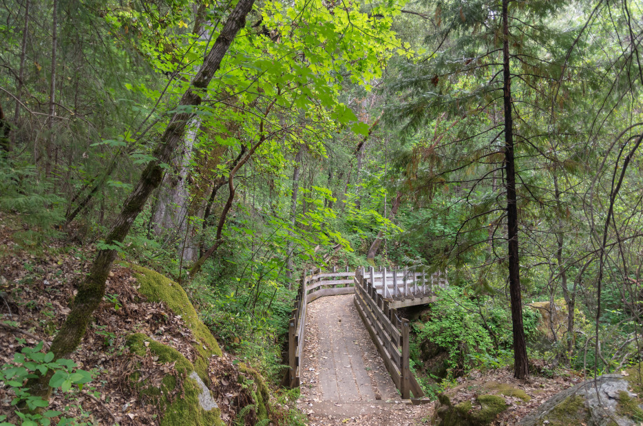 a former flume on the Independence Trail in Nevada City