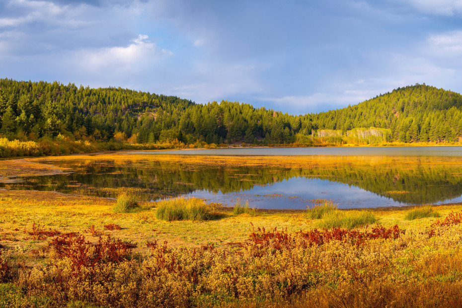 Red and yellow plants surround Nevada's Spooner Lake in fall.