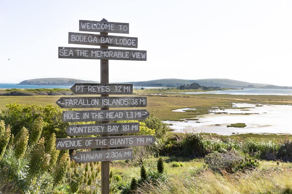 A driftwood signpost that says "Sea the Memorable View."