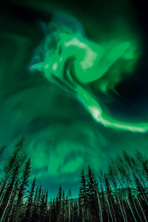 Northern lights swirl over Fairbanks, Alaska.