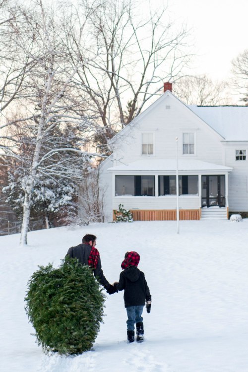 A father and child bring home their Christmas tree through the snow.