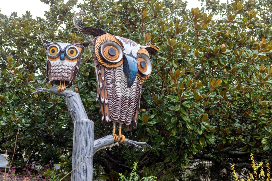 Owls sculpture created from used materials sits in a tree along Florence Ave. in Sebastopol, CA.
