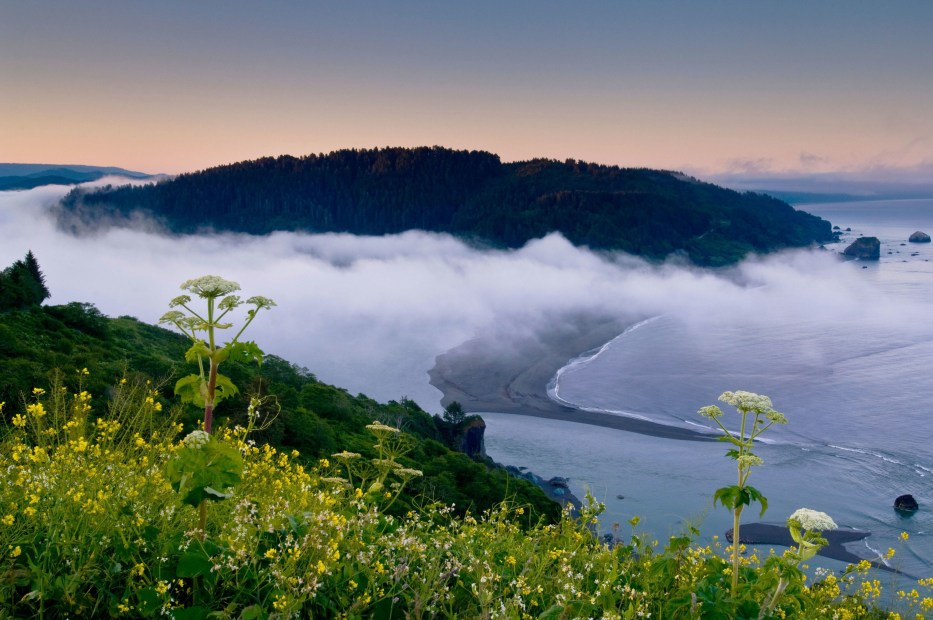 Morning coastal fog and wildflowers over the mouth of the Klamath River at dawn, Redwood National Park, California