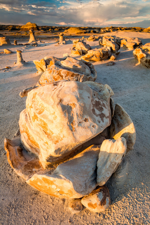 Rock formations in the egg hatchery in Bisti Badlands, New Mexico.