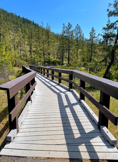 The boardwalk at Eight Dollar Mountain Botanical Wayside on a clear blue day.