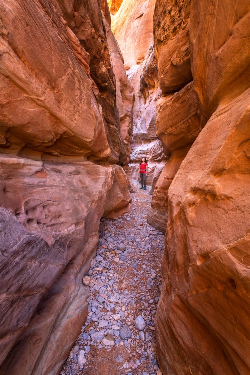 A hiker stands between two red rock walls on the White Domes hike in Nevada's Valley of Fire State Park.