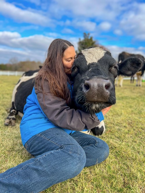 Founder, Ellie, with cow, Maybelle, at the Gentle Barn in California.