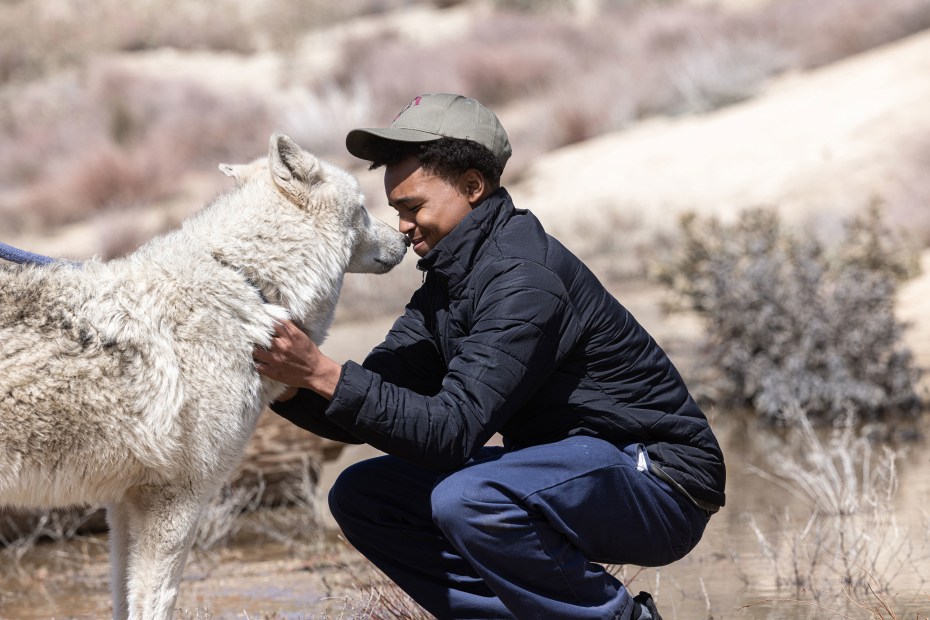 A Wolf Connection program participant pets Willow, a white and tan wolf.