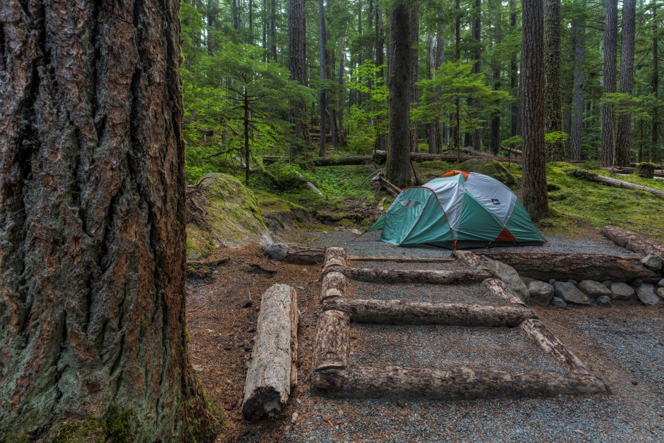 A green and silver tent set up in Ohanapecosh Campground in Mount Rainier National Park.