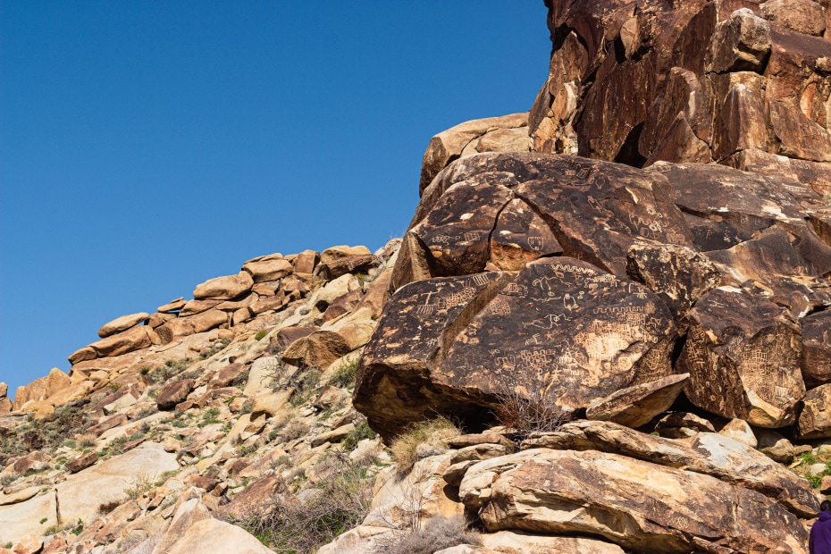 Petroglyphs in Avi Kwa Ame National Monument, Southern Nevada