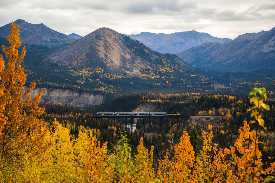 An Alaska Railroad passenger train passes over the Riley Creek Bridge in Denali National Park.