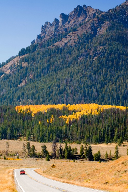 The beautiful colors of fall in the mountains can be seen from the Sawtooth Scenic Byway in the Sawtooth National Recreation Area