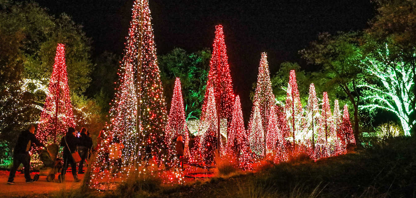 Christmas tree holiday light display at Redding Garden of Lights.