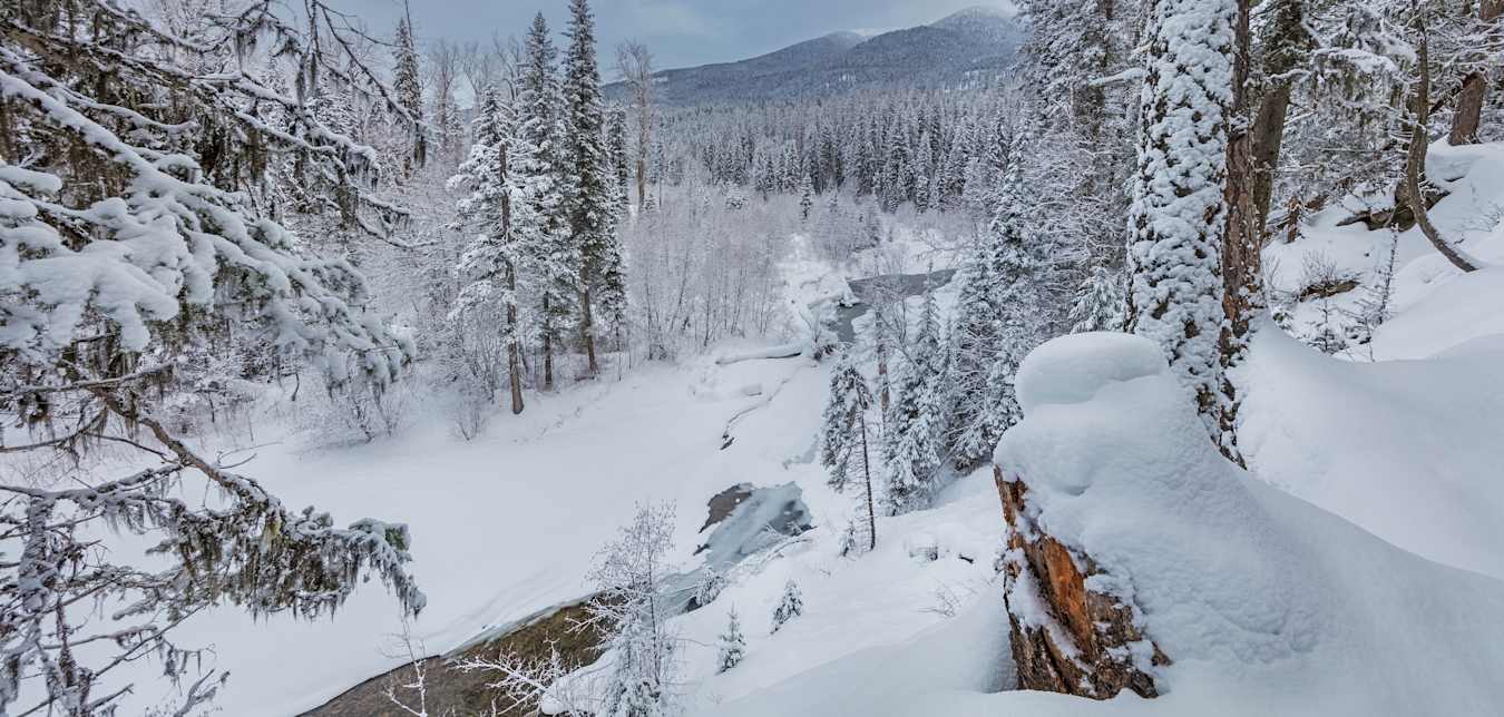 Swift Creek in the Stillwater State Forest near Whitefish, Montana.