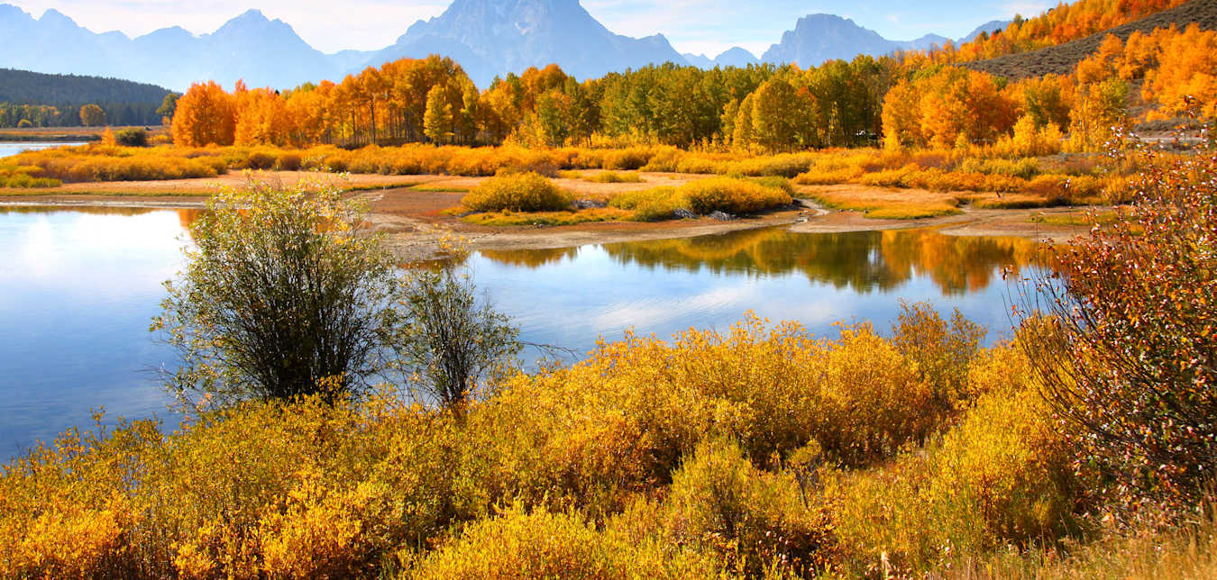 Autumn color reflects in Oxbow Bend in Grand Teton National Park.