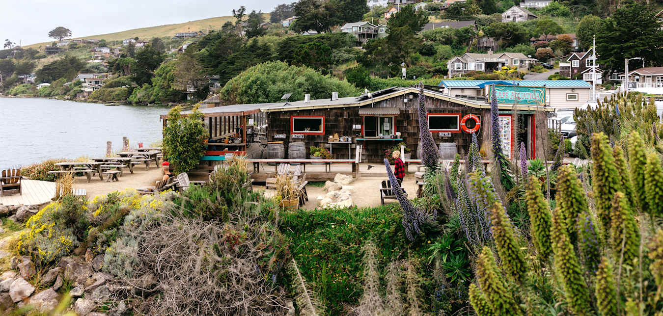 a restaurant with greenery in the foreground, on the ocean